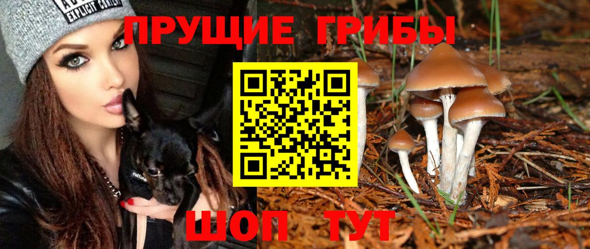 Галлюциногенные грибы Cubensis  Псилоцибиновые грибы Psilocybe  Вход с VPN  Кисловодск 