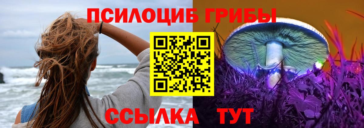 Псилоцибиновые грибы прущие грибы Кисловодск